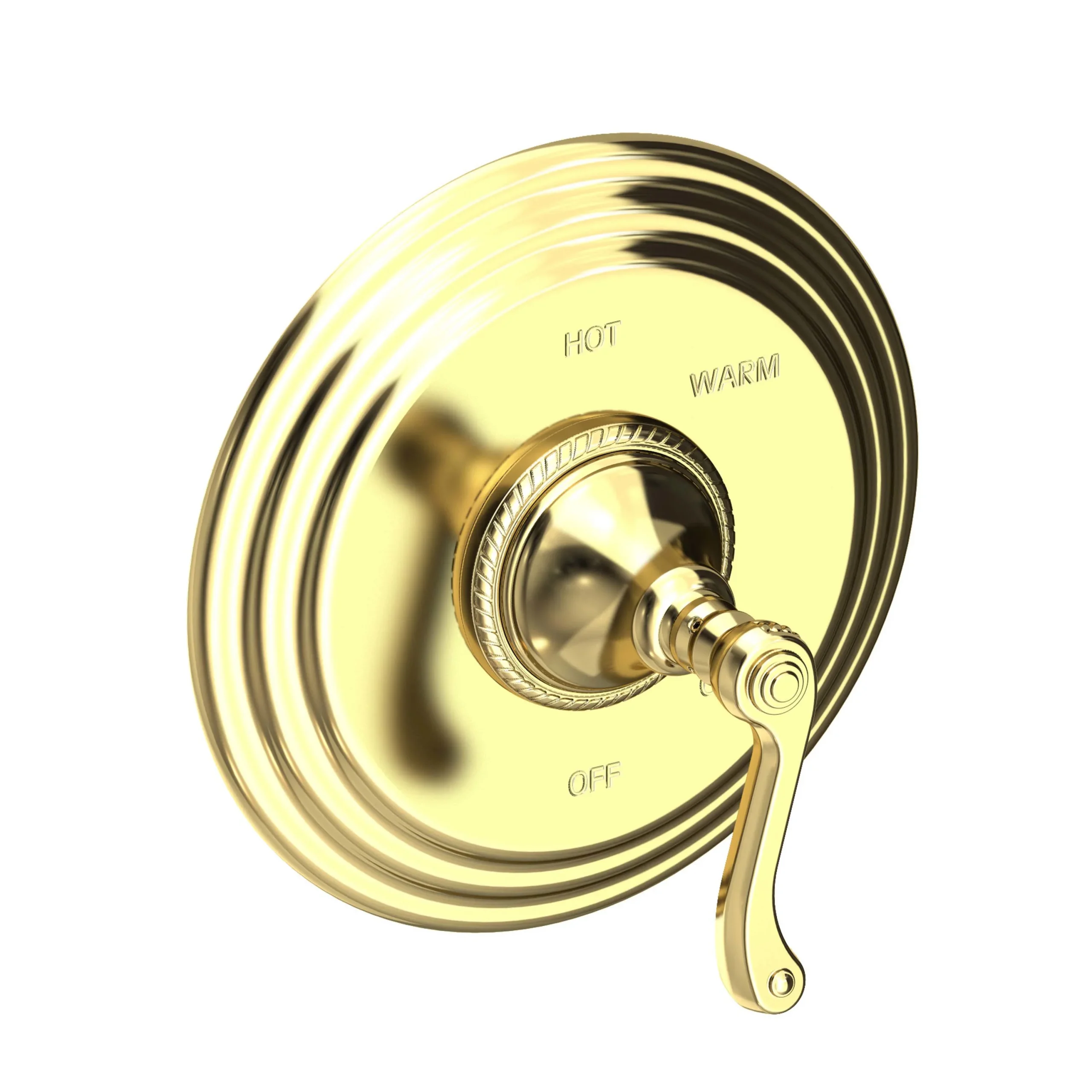 Amisa - Balanced Pressure Shower Trim Plate with Handle. Less showerhead, arm and flange. - Uncoated Polished Brass - Living - 4-984BP | Newport Brass