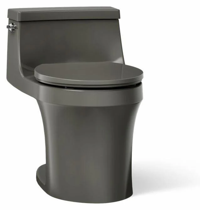 San Souci Standard 1-Piece Round Front 1.28 GPF Toilet with Slow Close Seat - Thunder Grey 4007-58 Kohler