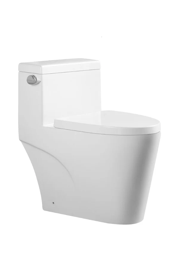 Simmons 4.8L 16.5" Standard Height One-Piece Toilet - White BT1016548 Duval