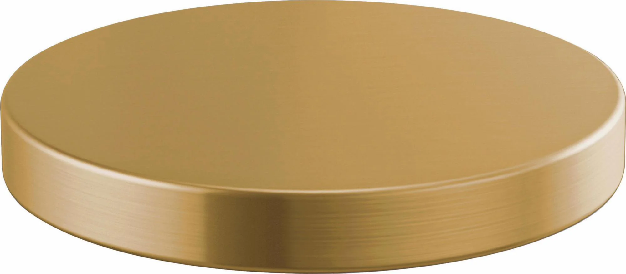 Litze Hole Cover RP90934GL Brizo