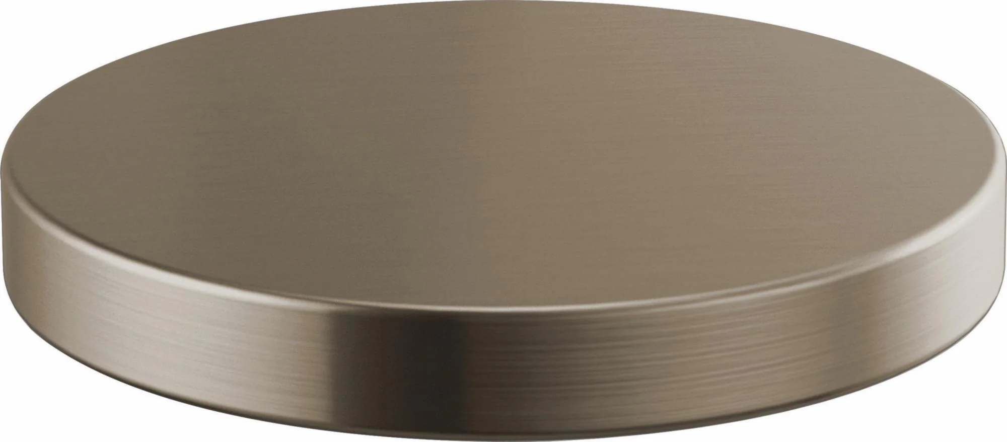 Litze Hole Cover RP90934SS Brizo