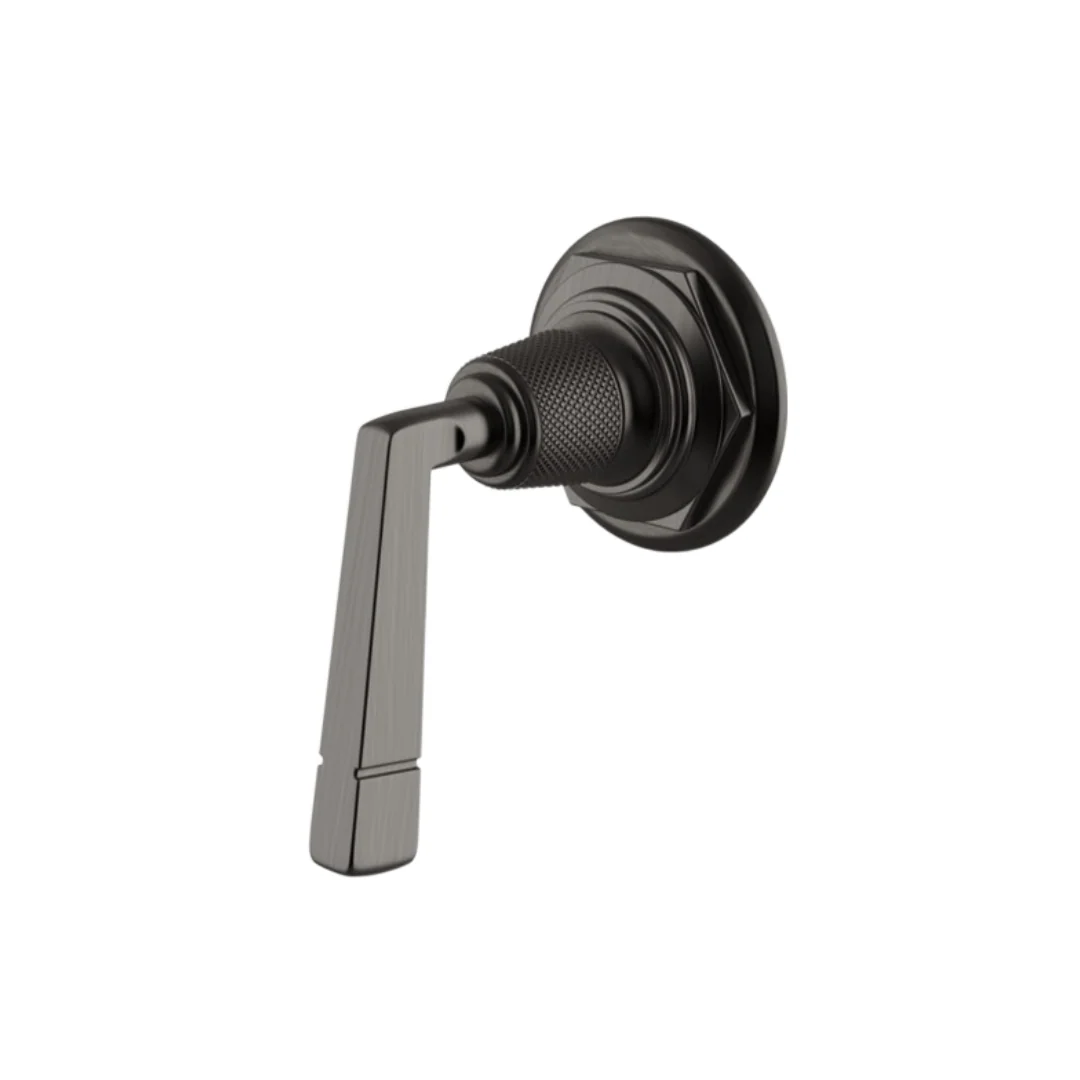 Waterworks RW Atlas Volume Control Valve Trim in Dark Nickel